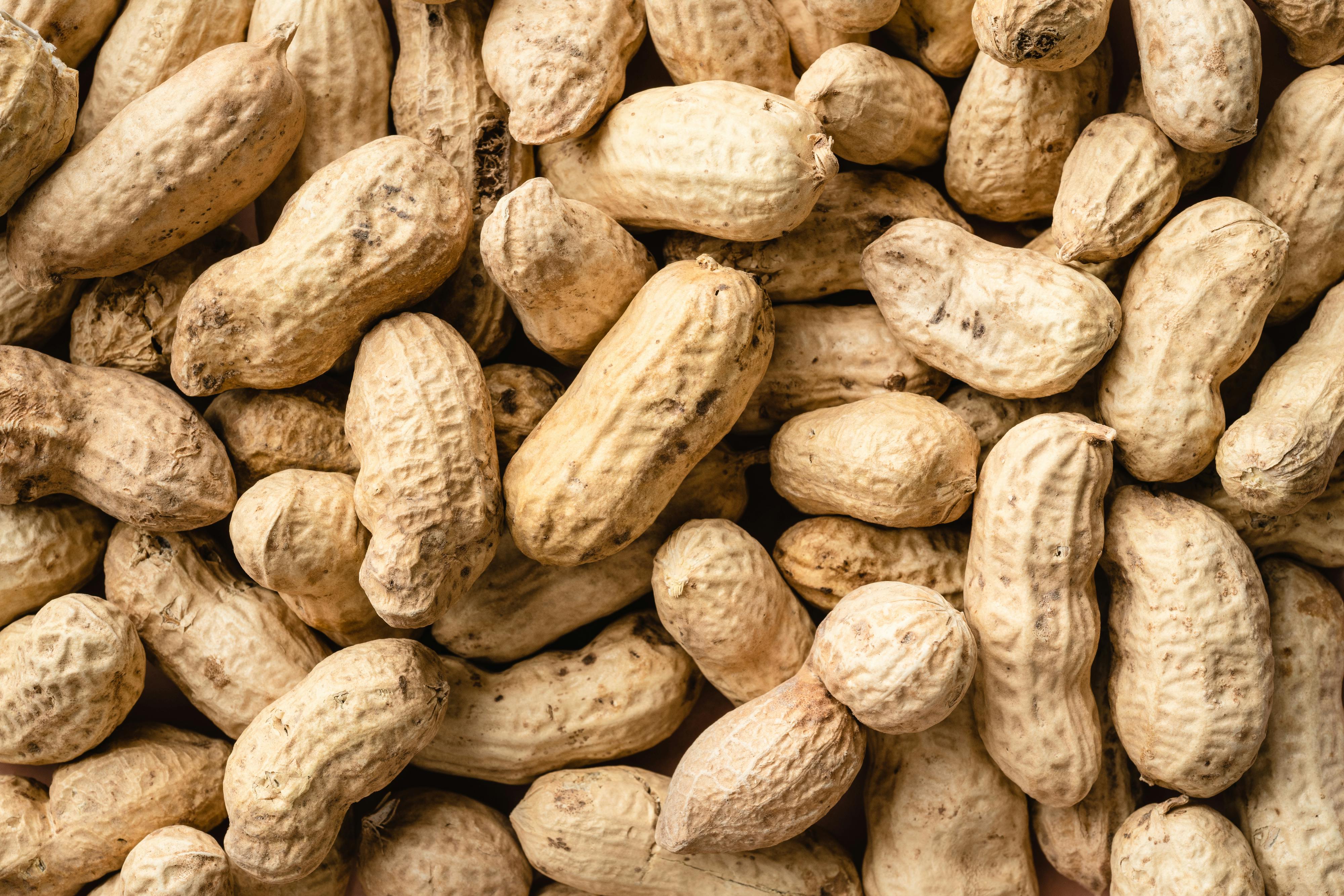Peanut