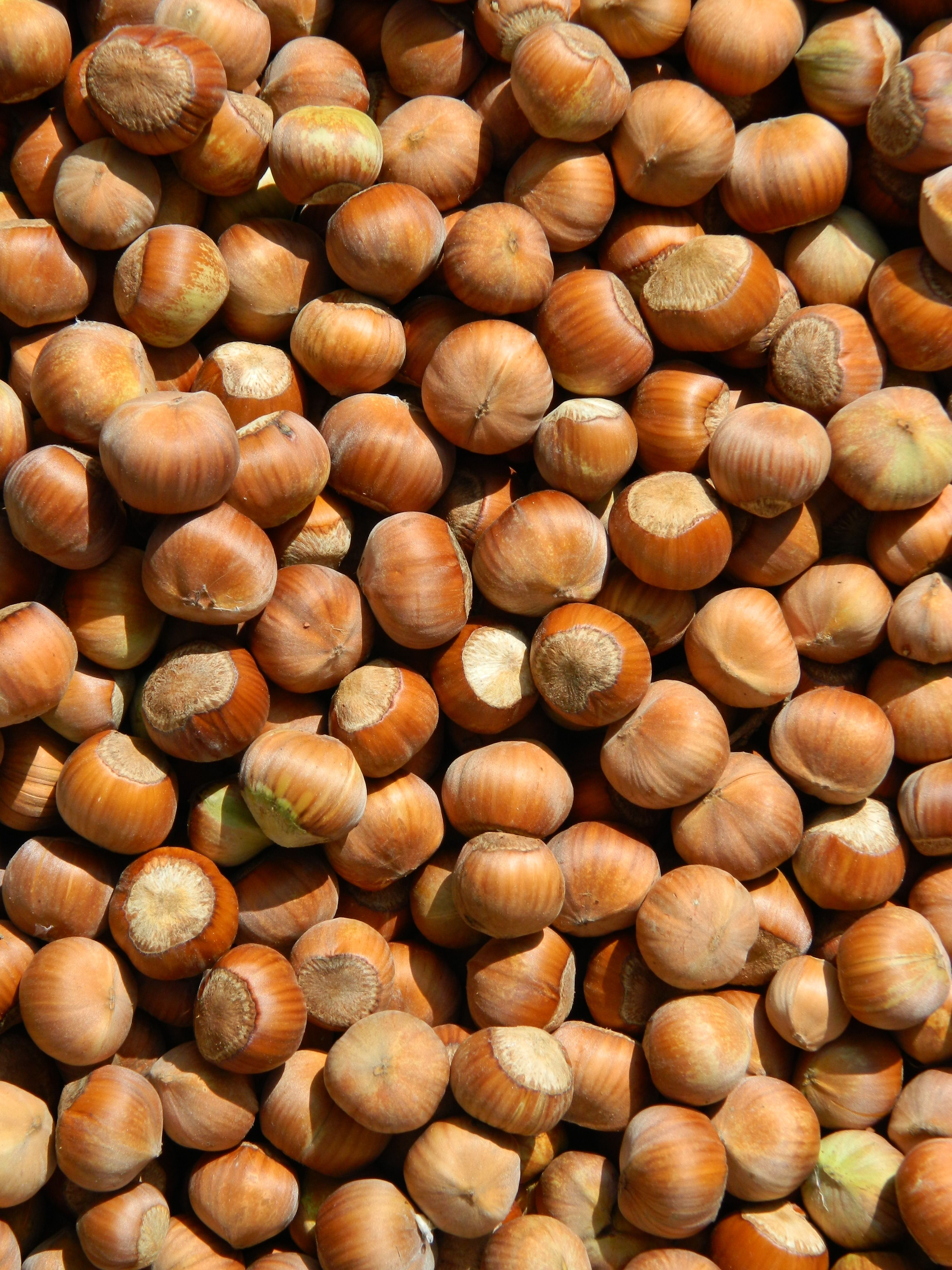 Hazelnuts